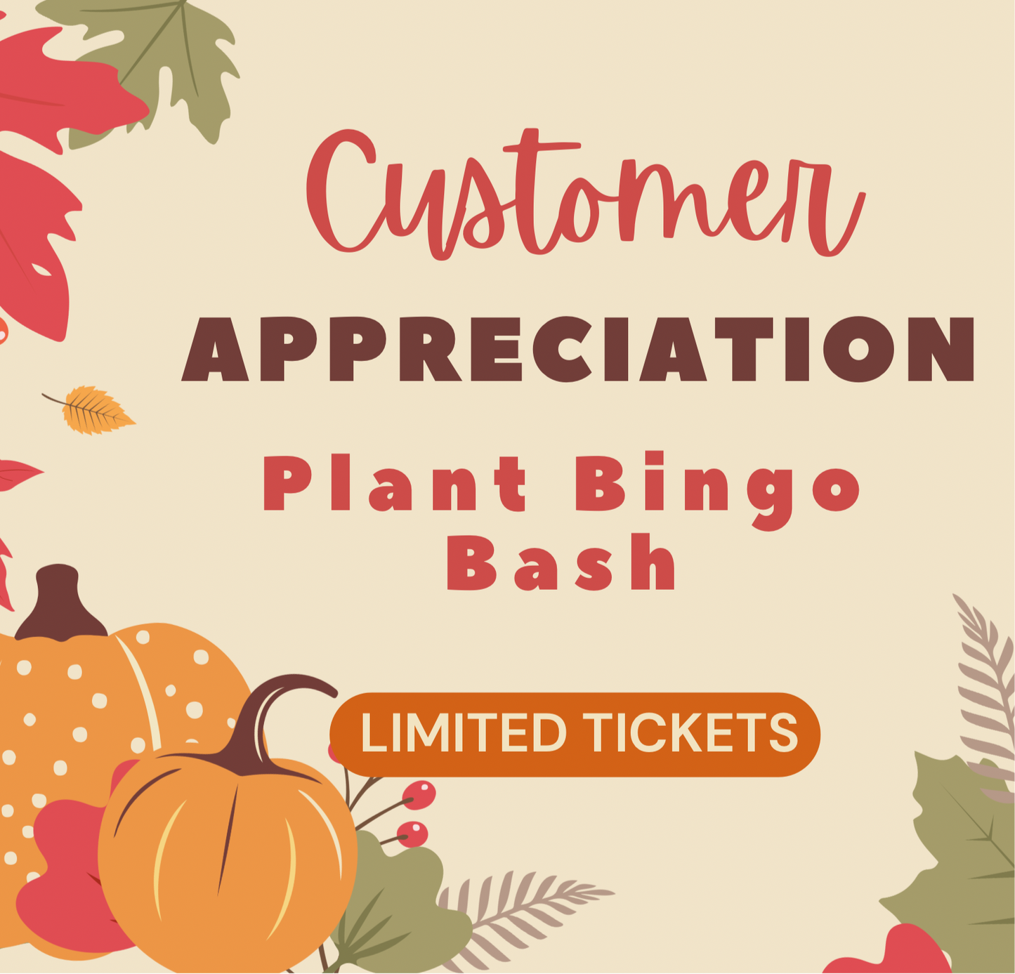 Monday November 17th