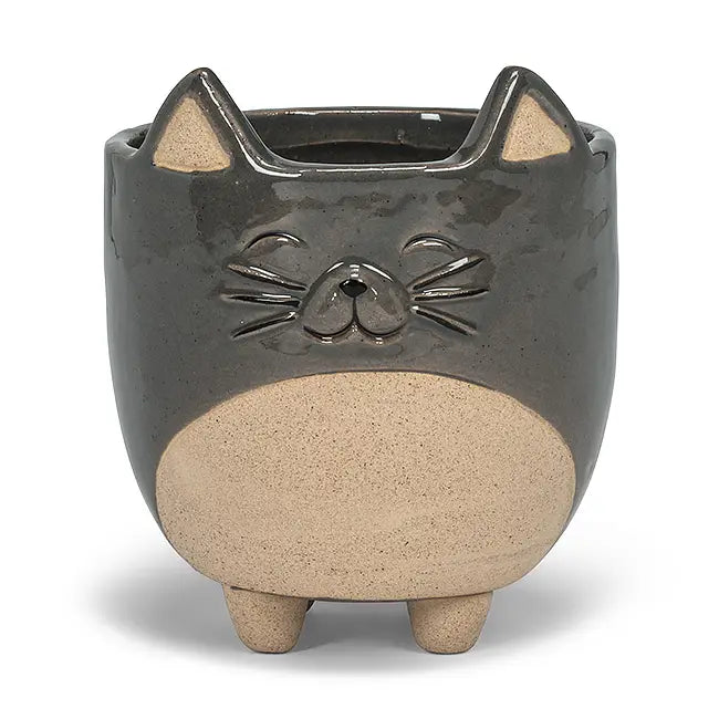 Cat Pot