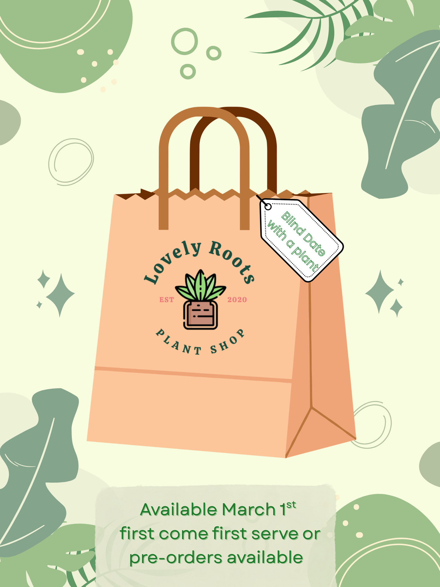 🪴Blind Date with a Plant 🪴 Mystery Bag Pre-order for 3/1