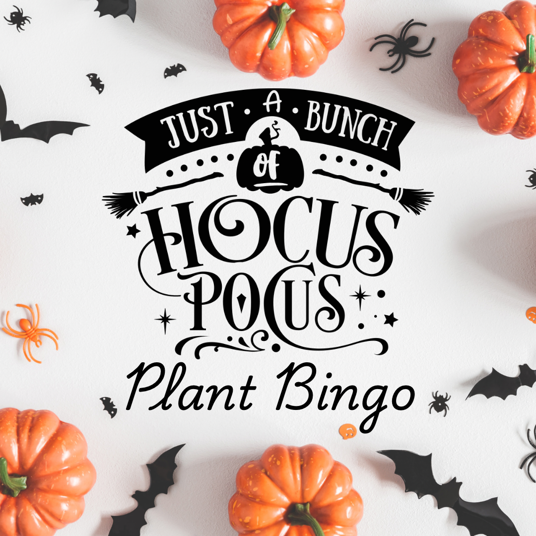 Hocus Pocus Plant Bingo Sunday, October 26th