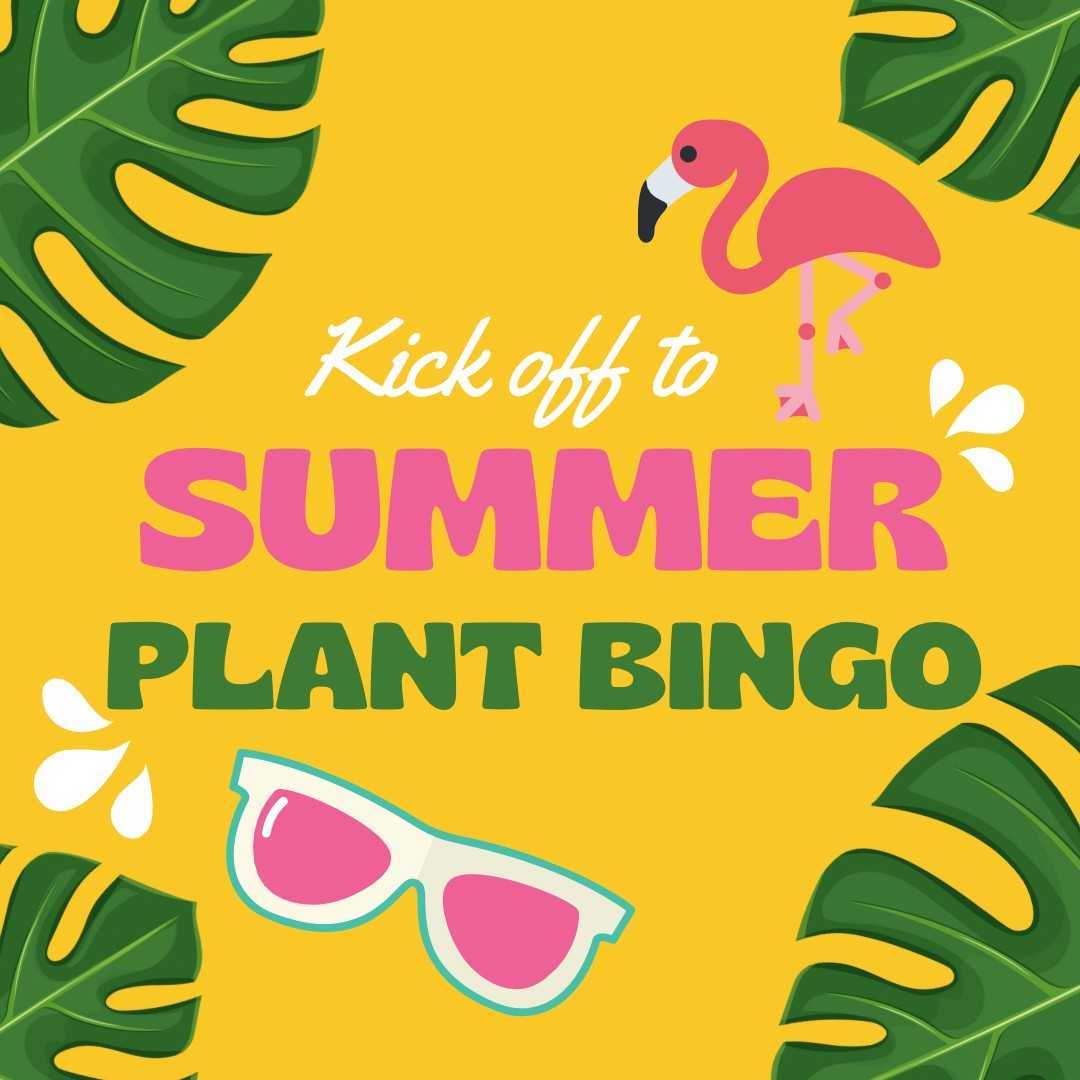 Plant Bingo Monday 6/23