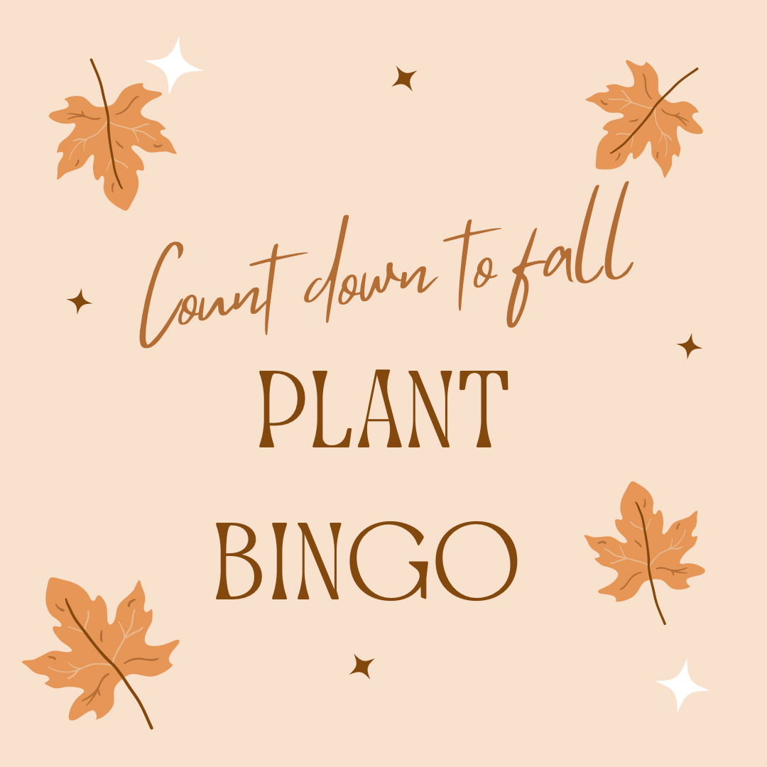 Plant Bingo Thursday Sept 18