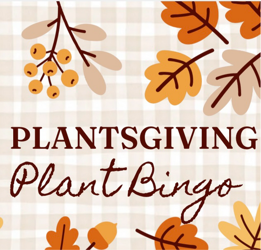 Thursday 11/14 Plant Bingo