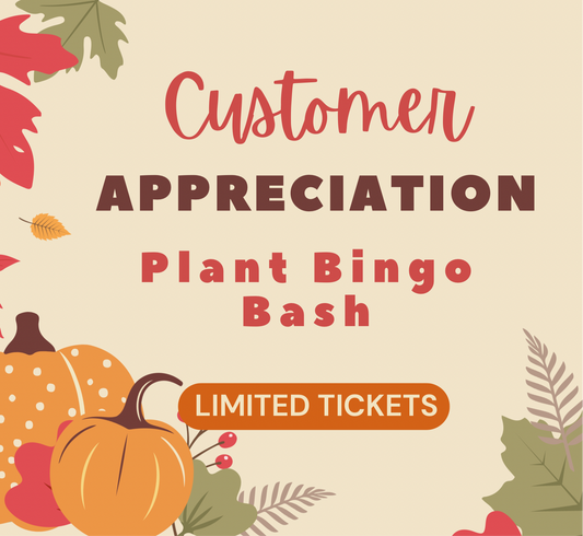 Thursday November 13th