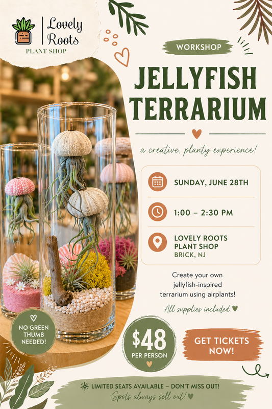 Jellyfish Terrarium Workshop          Sunday 6/28