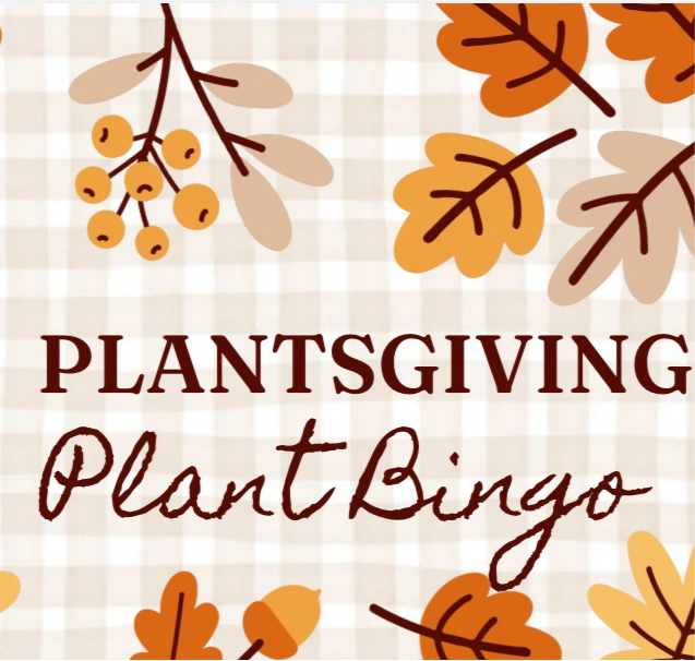 Plant Bingo Sunday 11/24