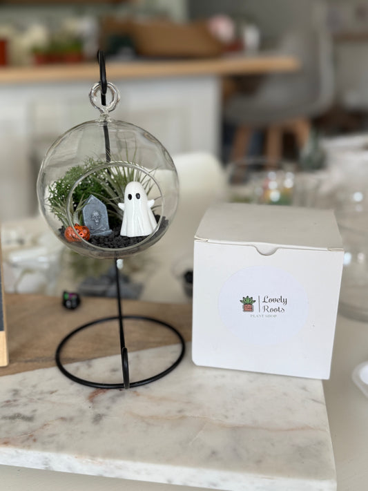 Pet Ghost DIY Kit