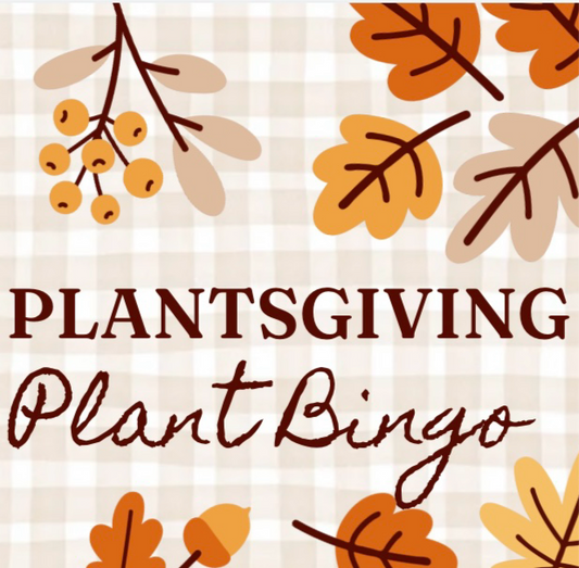 Plant Bingo Monday 11/11