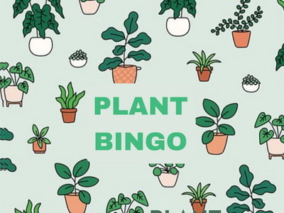 Thursday 11/14 Plant Bingo