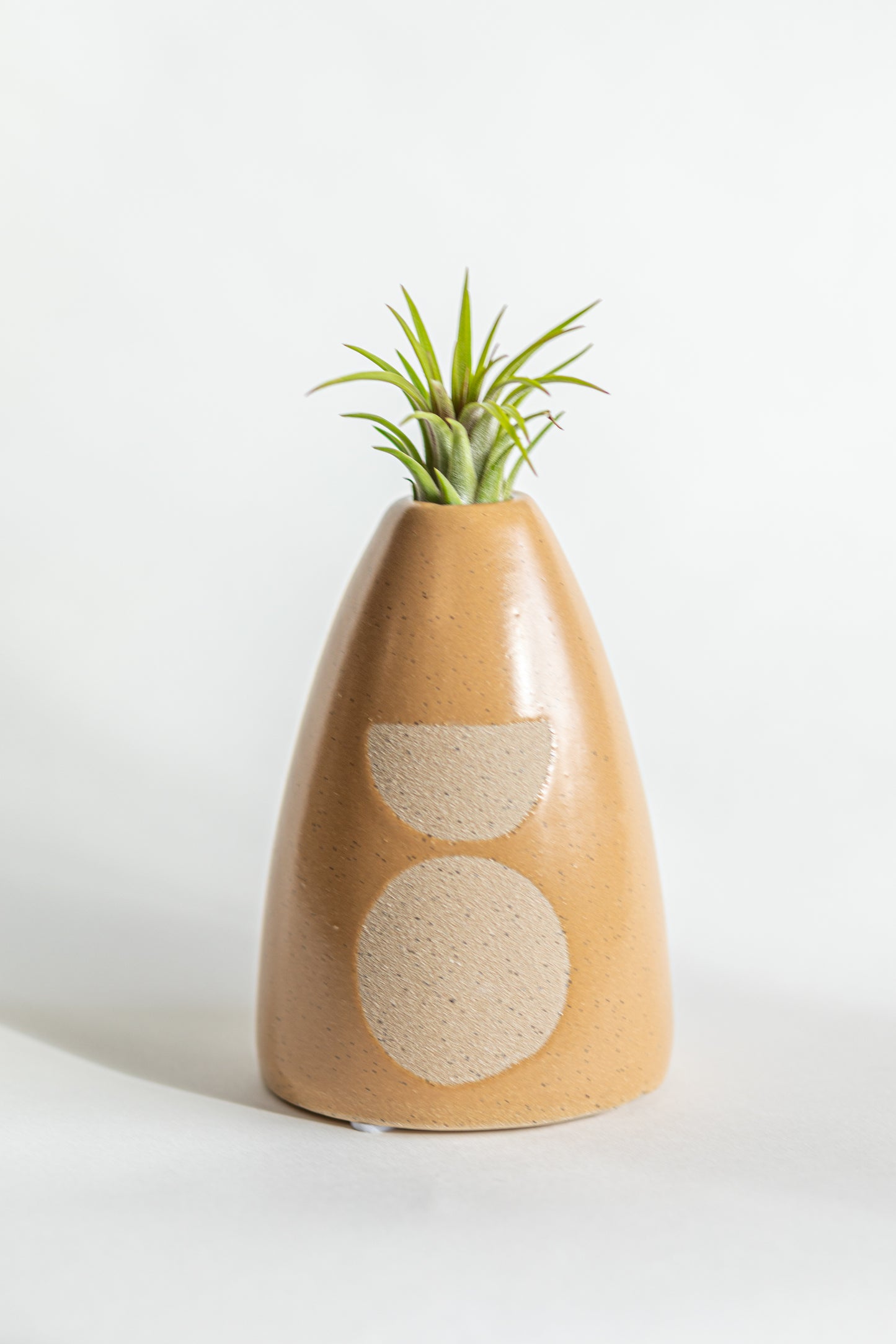 Ellle Tall Air Plant Holder