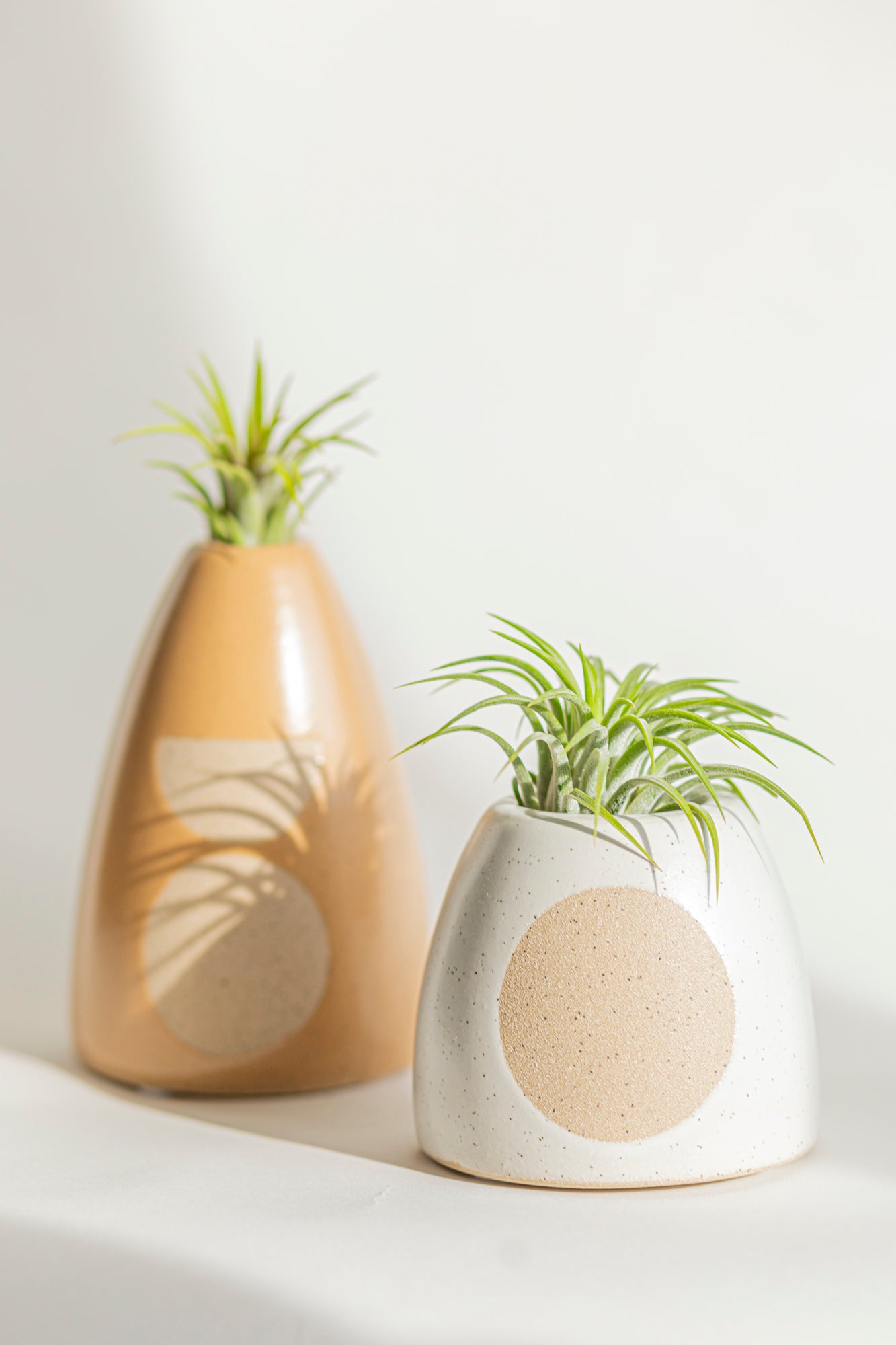 Elle Short Air Plant Holder