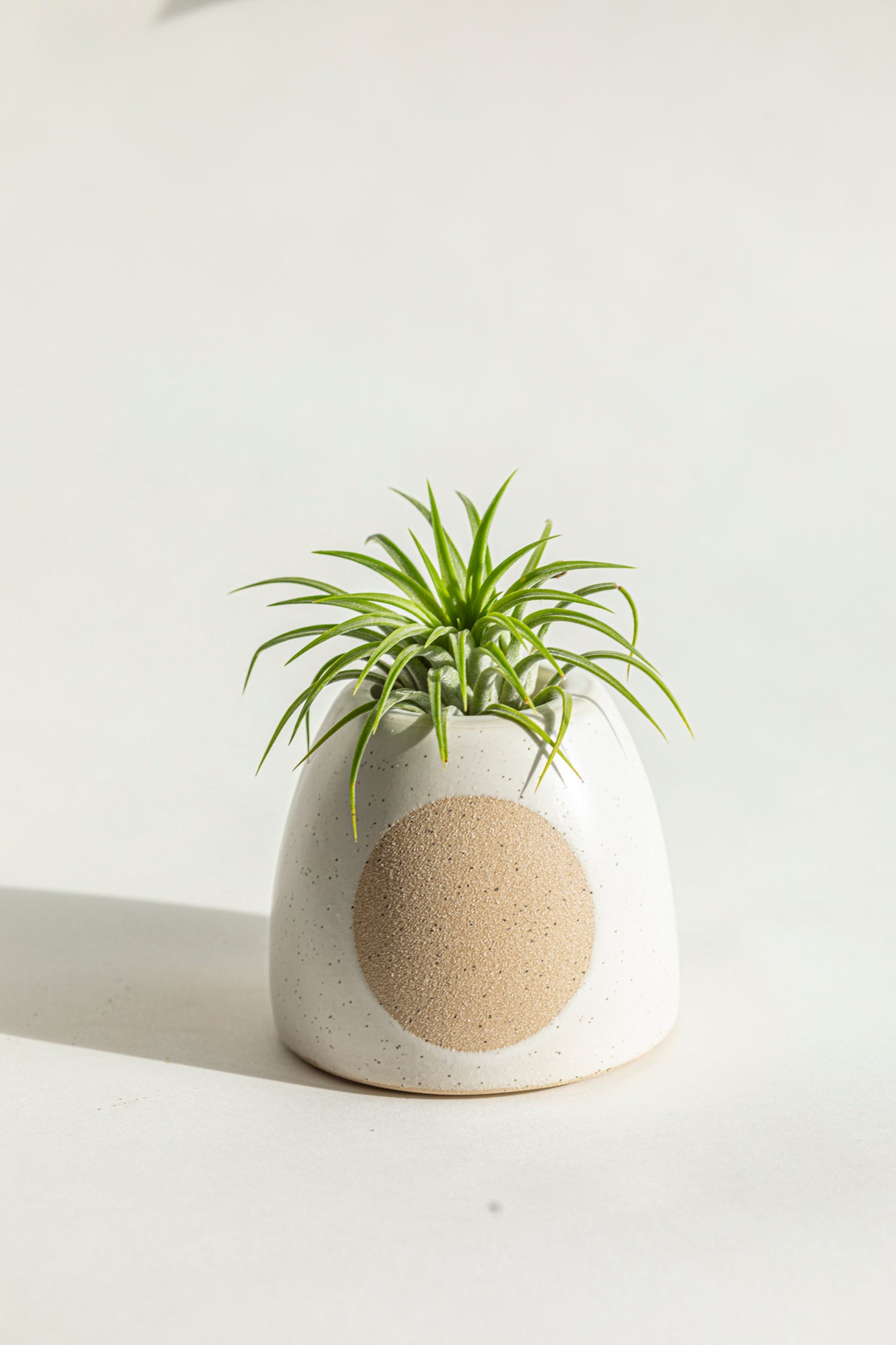 Elle Short Air Plant Holder