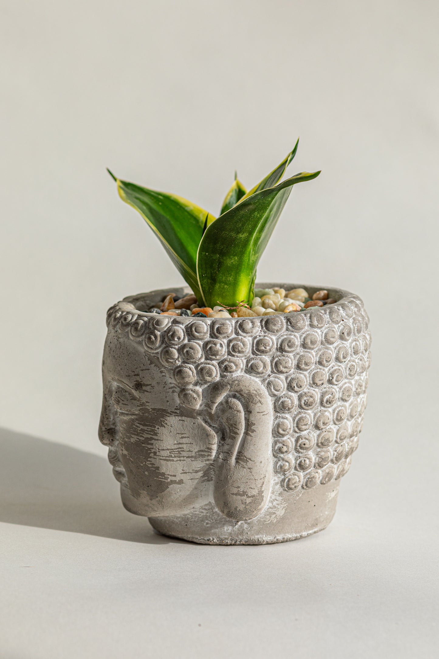 Buddha Head Pot