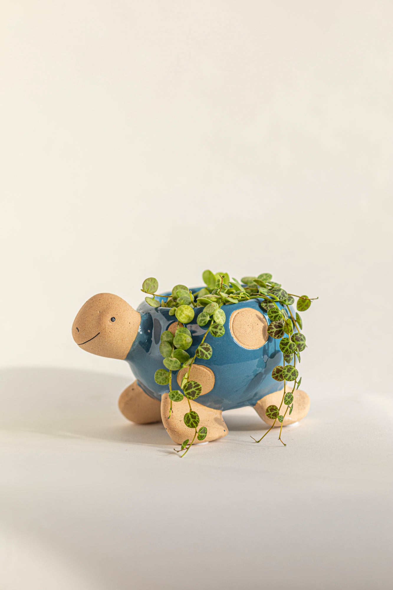 Turtle Pot