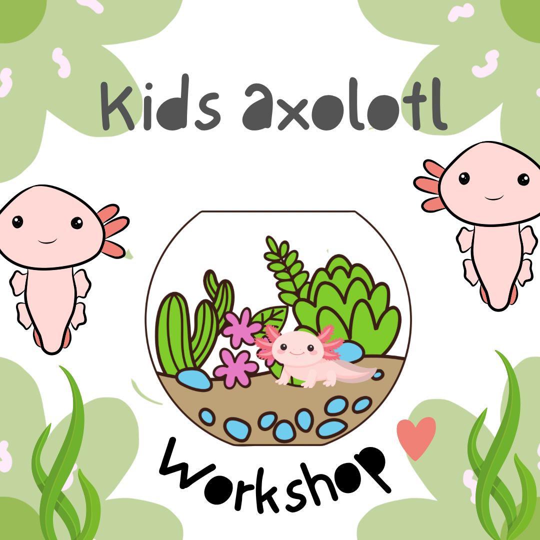 Kids Workshop                                        Saturday 4/25 at 2pm