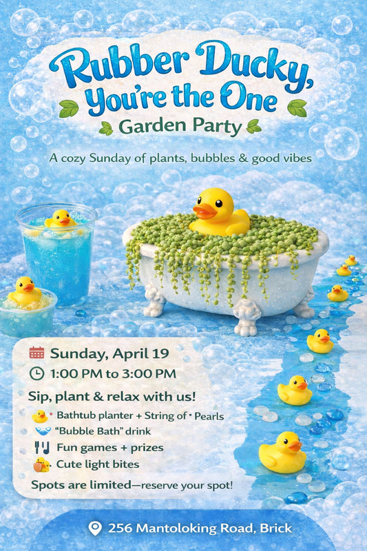 Rubber Ducky You’re the One,    Garden Party 🪴 🛁