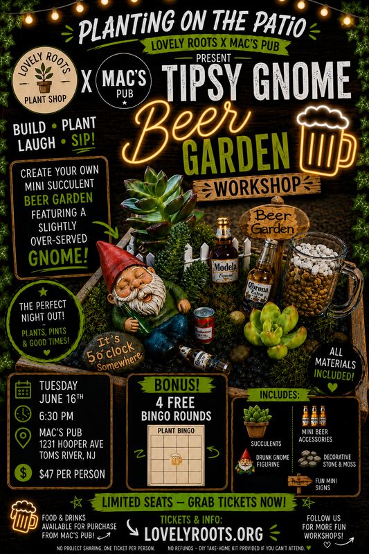 Lovely Roots X Mac’s Pub                       Planting on the Patio -                        Tipsy Gnome Beer Garden 🪴
