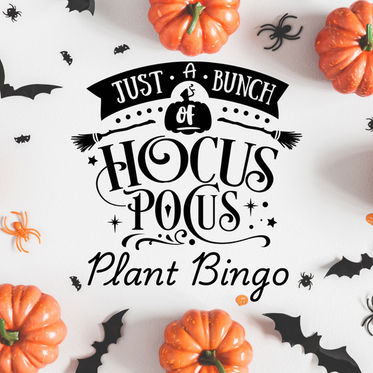 Plant Bingo Sunday 10/27