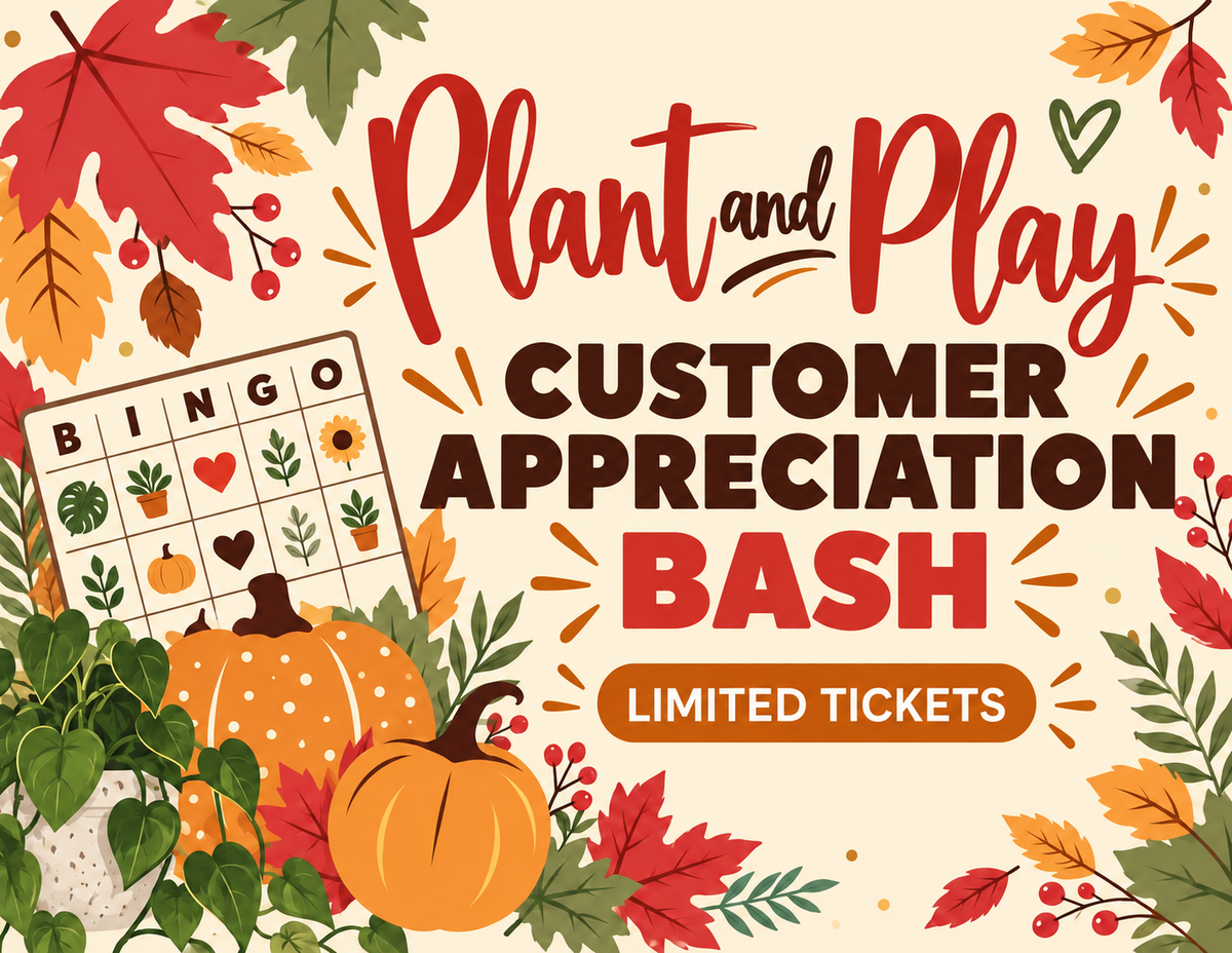 Plant and Play                                      Friday Nov 20th at 7pm