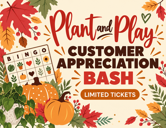 Plant and Play                                      Sunday Nov 15th at 1pm