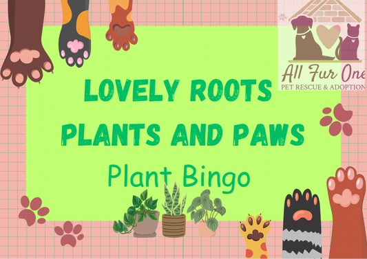 Plants and Paws                            Plant Bingo Event Sunday 8/3