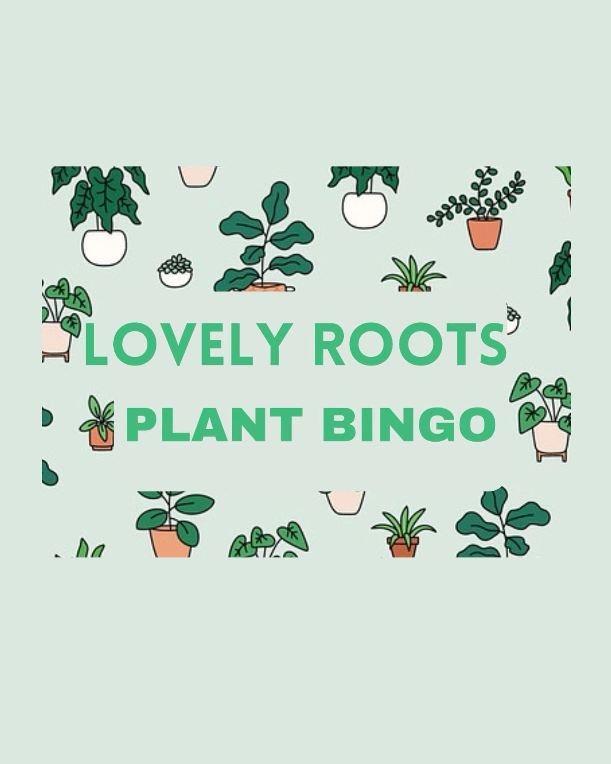 Plant Bingo Sunday 11/24